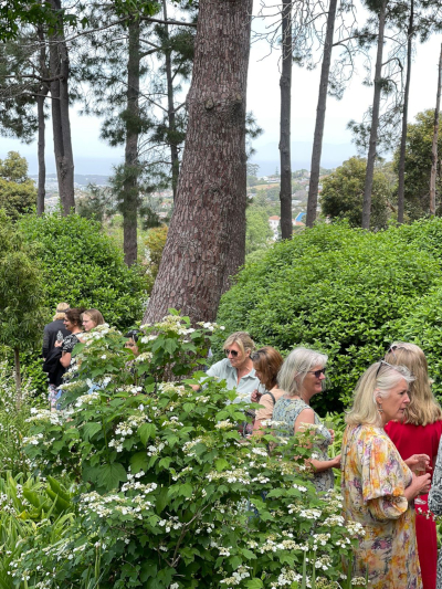 Open garden 21